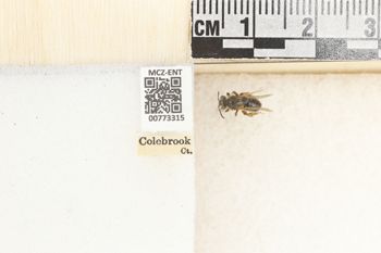 Media type: image;   Entomology 773315 Aspect: Labels